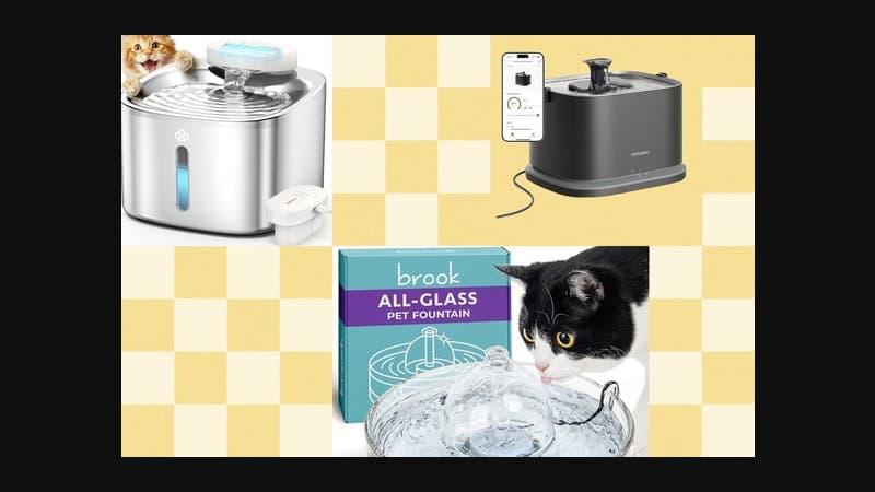 The Best Cat Water Fountains of 2026: Petlibro, Petkit, Oneisall
